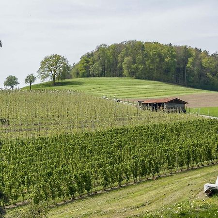 Ferienwohnung Lang Kressbronn am Bodensee Zewnętrze zdjęcie