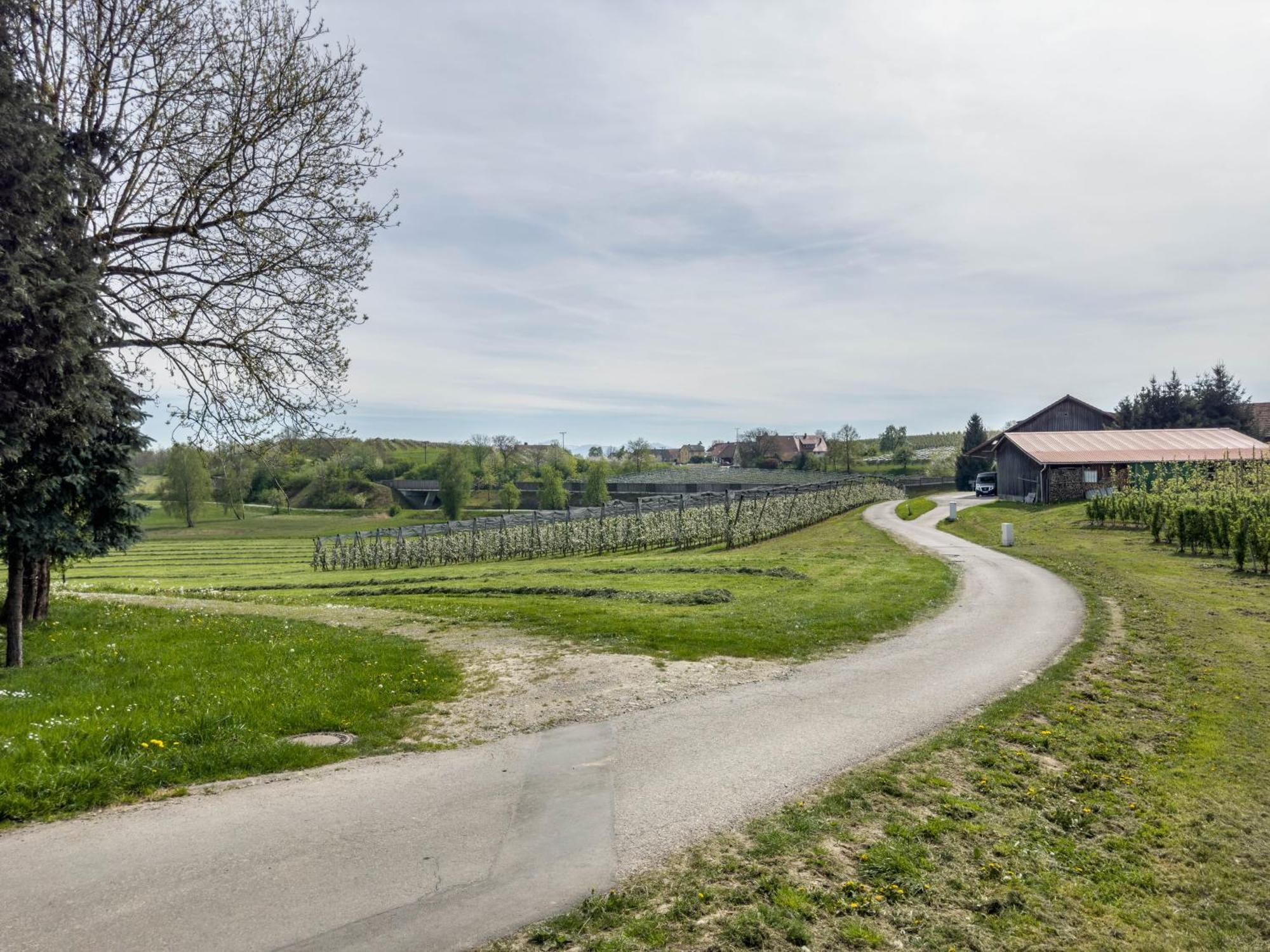 Ferienwohnung Lang Kressbronn am Bodensee Zewnętrze zdjęcie