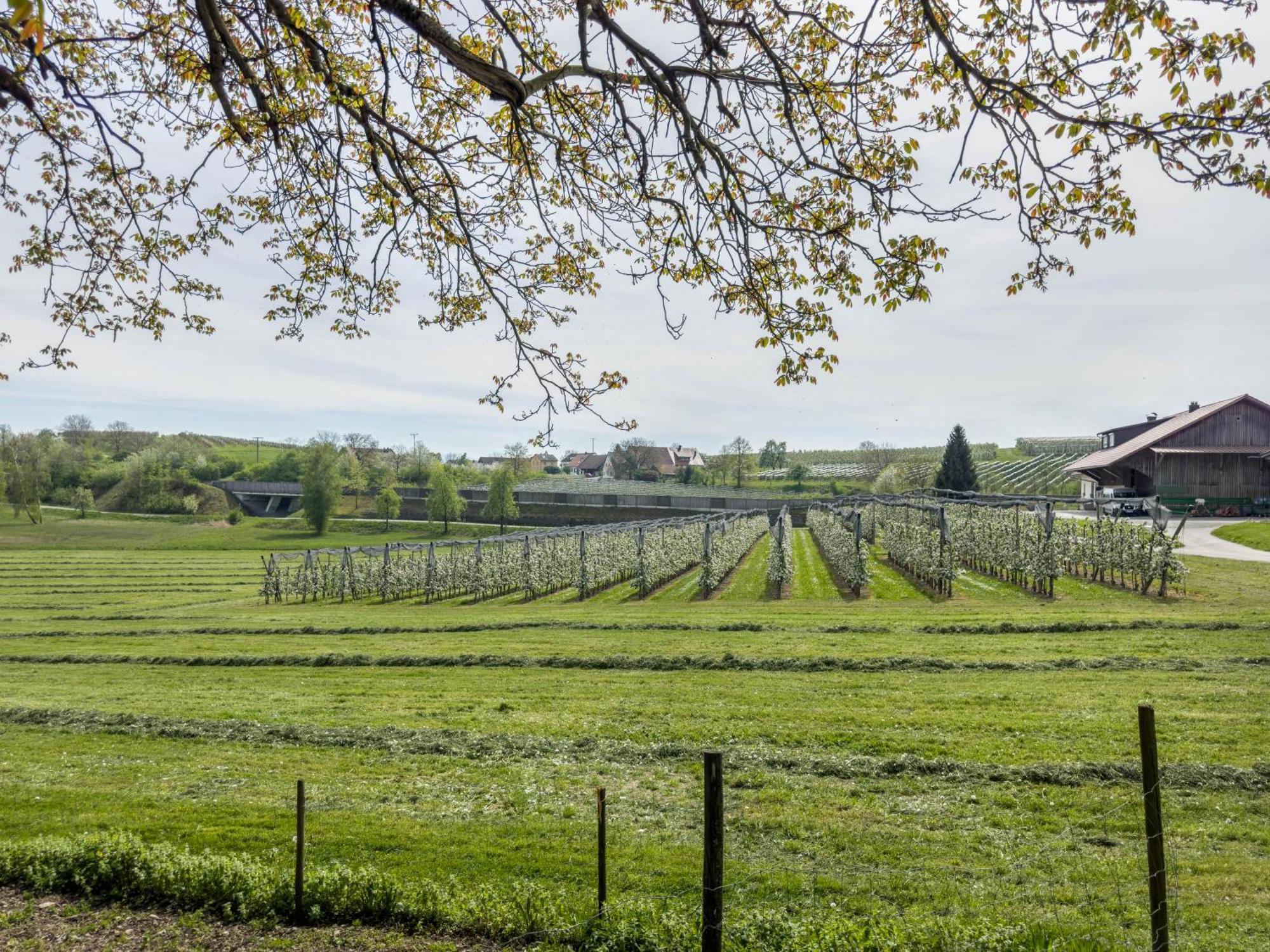 Ferienwohnung Lang Kressbronn am Bodensee Zewnętrze zdjęcie
